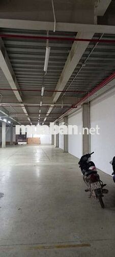 cần tuyển thợ và phụ điện nước đi làm ngay