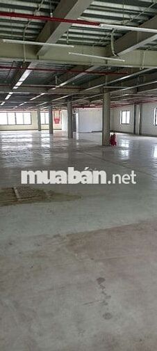 cần tuyển thợ và phụ điện nước đi làm ngay
