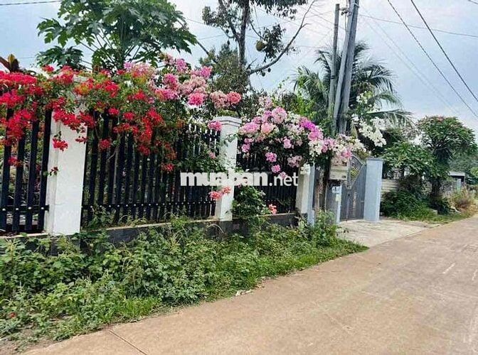BÁN ĐẤT 2 MẶT TIỀN NGAY THẢO THIỆN GARDEN, CHỢ BÌNH LỘC 980TR