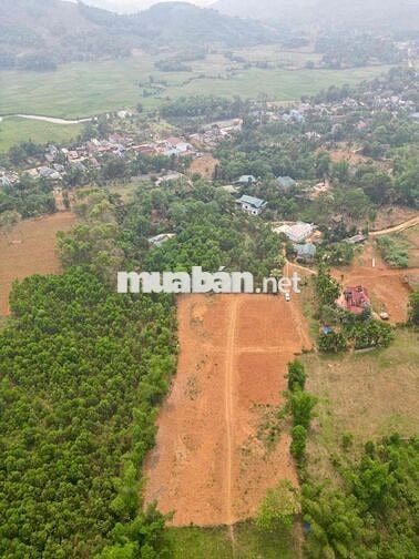 LONG PHÁT - CAO NGỌC 2: "MỎ VÀNG" ĐẦU TƯ CHỈ TỪ 178 TRIỆU ĐỒNG!