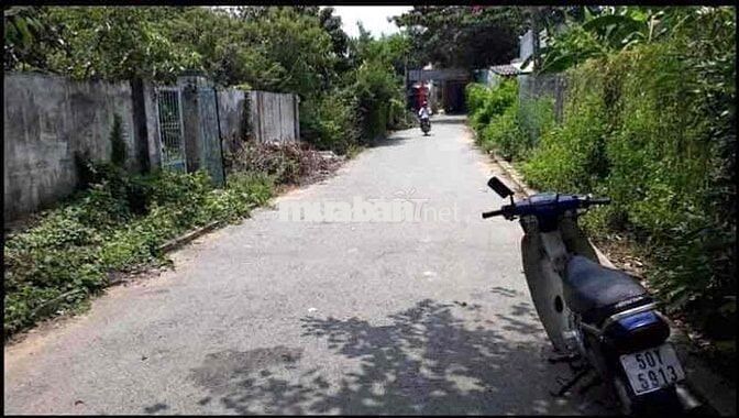 Đất đẹp cách khu lấn biển 500m