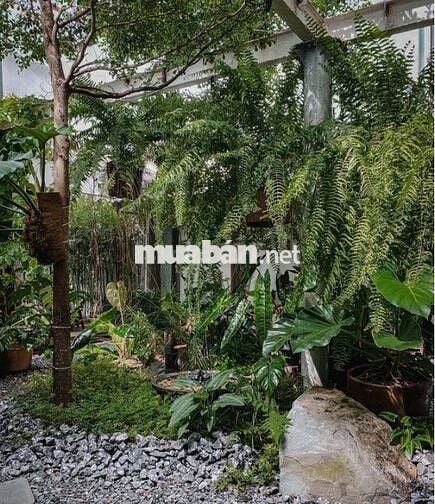 CHO THUÊ MẶT BẰNG CHẾ LAN VIÊN - 350M2 NGANG 12M - GIÁ 40TR