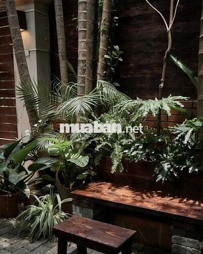 CHO THUÊ MẶT BẰNG CHẾ LAN VIÊN - 350M2 NGANG 12M - GIÁ 40TR