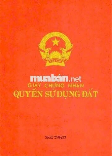 Đất 446m2 Đướng Thống Nhất mới Xây Toà Văn Phòng , Khách Sạn