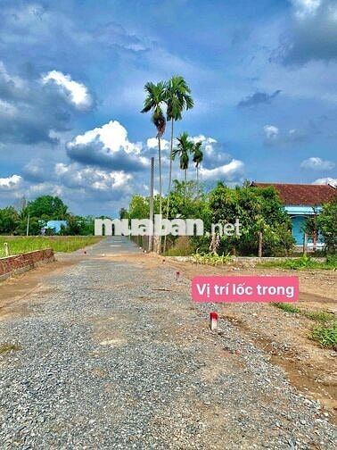 Đất Đô Thị Thủ Thừa Tây Ninh Long An