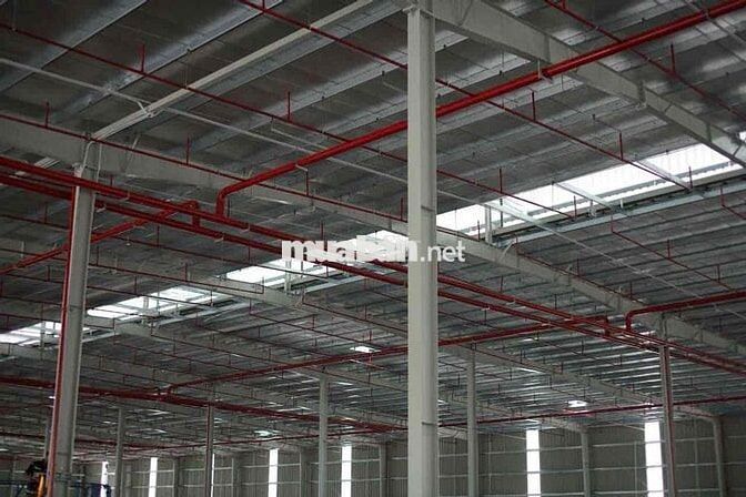 🌾CHO THUÊ KHO XƯỞNG KHU CÔNG NGHIỆP BÌNH THUẬN GIÁP ĐỒNG NAI (lương vù