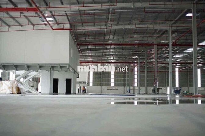 🌾CHO THUÊ KHO XƯỞNG KHU CÔNG NGHIỆP BÌNH THUẬN GIÁP ĐỒNG NAI (lương vù