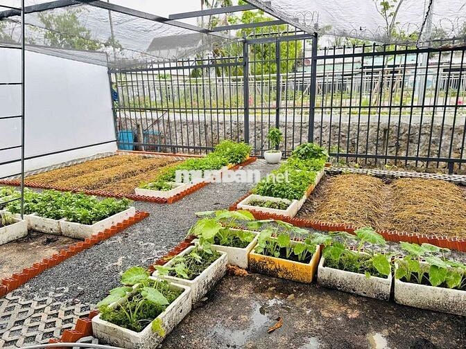 BÁN BIỆT THỰ SÂN VƯON 4PN 3WC MỚI ĐẸP CÓ 309M2 GẦN CẦU PHÚ CƯỜNG