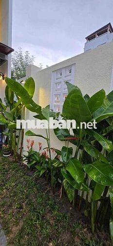 CHO THUÊ NHÀ SÂN VƯỜN MỚI 100% KHU GẦN BIỂN MINH MẠNG
