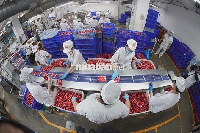 VISSAN BÌNH THẠNH TUYỂN NAM - THƯỞNG 2TR2- BAO CƠM