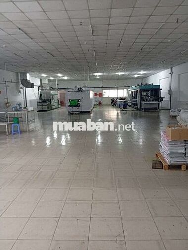 CHO THUÊ KHO 760M2 KCN TÂN BÌNH ĐƯỜNG CON40F PCCC NGHIỆM THU ĐẦY ĐỦ
