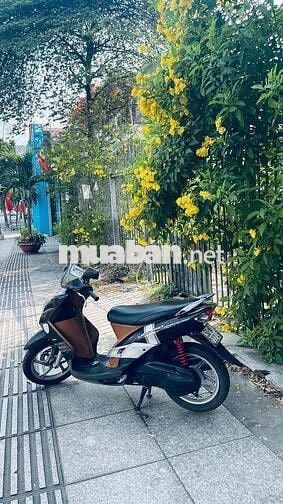 Yamaha Yo bụng bự 2011 Đen Nâu