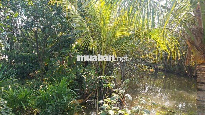 616m² NGANG 15M – ĐẤT RỘNG HIẾM GẦN QL1A – GIÁ 6.5TR/M²