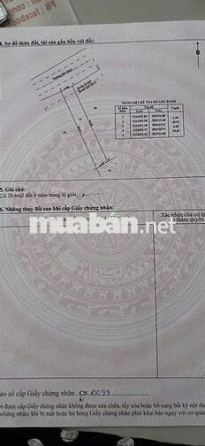 Cần bán đất mặt tiền đường Bến Đình