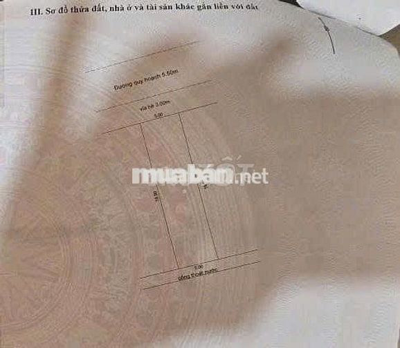 Sở Hữu Đất Bắc Thượng 5 – Vị Trí Chuẩn Đẹp, Kề Cận Tiện Ích Liên Chiểu
