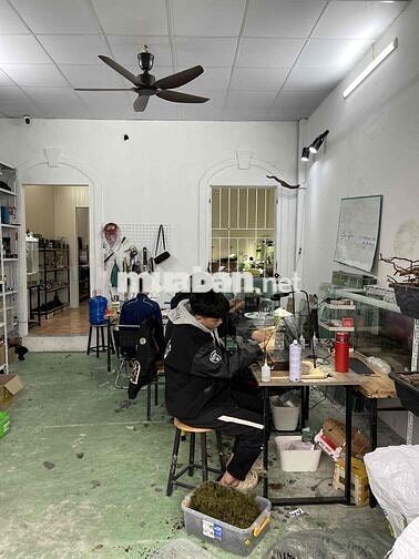 Tìm Đồng Đội Thuỷ Sinh Bán Cạn Terrarium