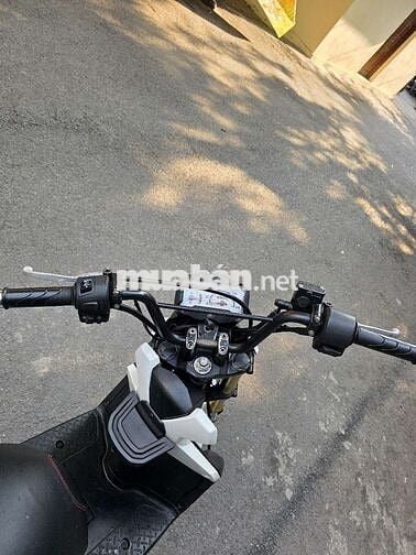 Honda Zoomer-X 110 2015 Trắng