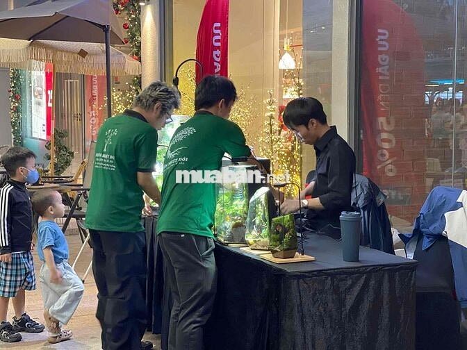 Tìm Đồng Đội Thuỷ Sinh Bán Cạn Terrarium