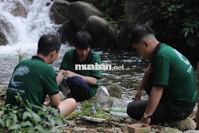 Tìm Đồng Đội Thuỷ Sinh Bán Cạn Terrarium