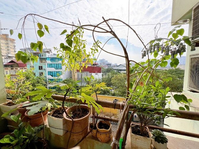 Cần bán căn hộ chung cư tại đường Trần Quý Kiên, phường Dịch Vọng