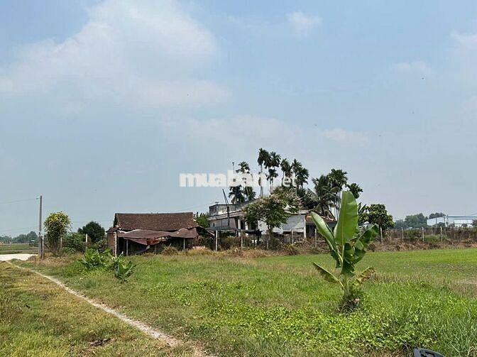 CHiNH CHỦ BÁN 500M ĐẤT THÁI MỸ - CỦ CHI -SHR- HỖ TRỢ VAY 80%