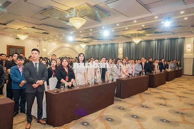 CẦN TUYỂN CTV/NVKD BÁN NHÀ PHỐ