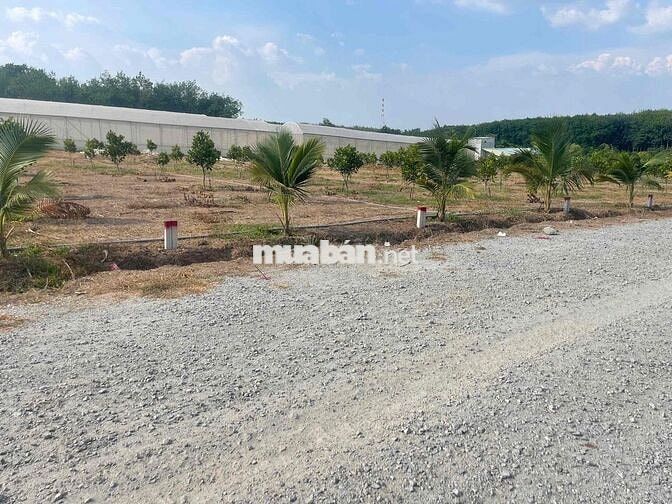4lô liền kề sẳn thổ cư tại TPHCM giá rẻ cạnh nhiều tiện ích