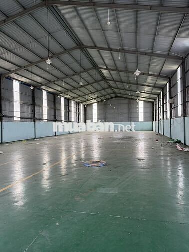 Cho Thuê Xưởng 1780m2 Phước Hải Đất Đỏ