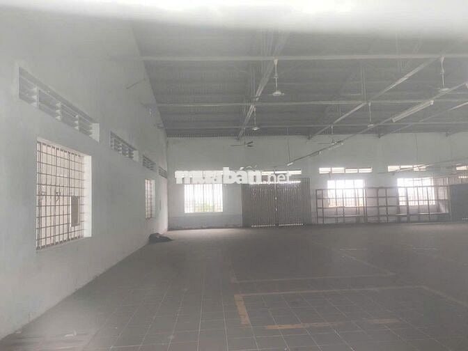 Cho Thuê Kho Chứa Hàng Có PCCC Long Điền BRVT - Giá 32,5tr/tháng