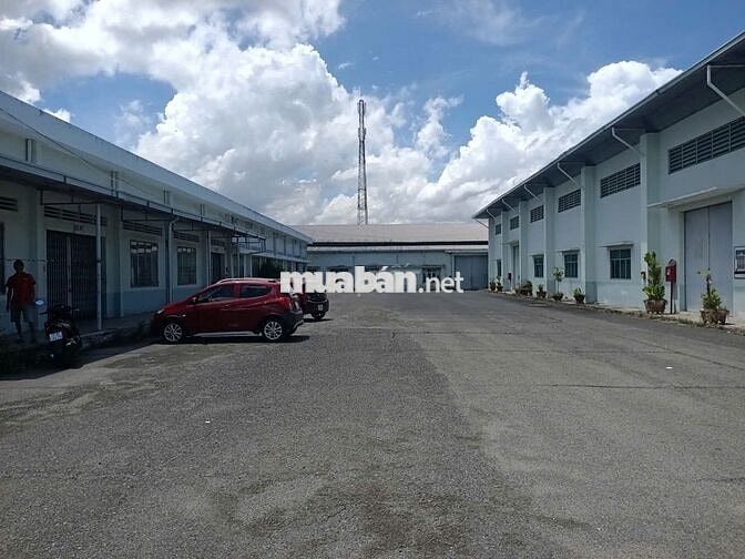 Cho Thuê Kho Chứa Hàng Có PCCC Long Điền BRVT - Giá 32,5tr/tháng