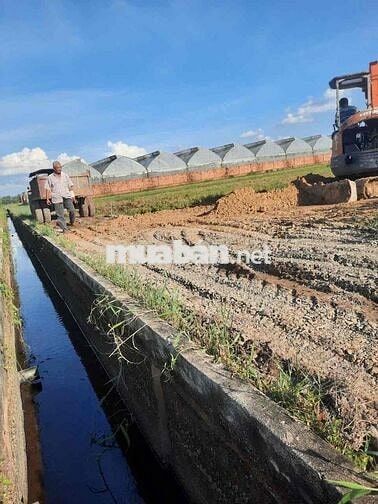 Farm mini đt đẹp kp Lộc an giáp cu chi