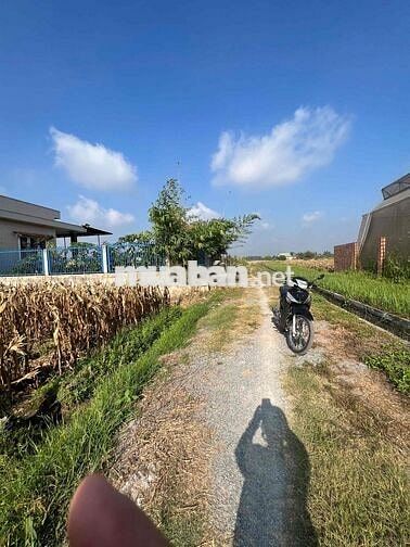 Farm mini đt đẹp kp Lộc an giáp cu chi