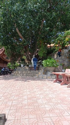 Cho thuệ mặt bằng đất trống 200 m hóc môn