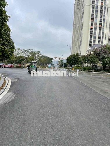 Chính chủ đất dịch vụ 25.2ha Vân Canh