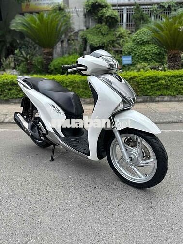 SHvn 150 Abs 2019 - 29E2-378.89 - trắng