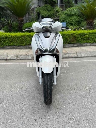 SHvn 150 Abs 2019 - 29E2-378.89 - trắng