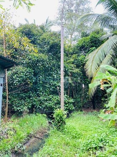 Bán đất tại Đường An Sơn 26, Xã An Sơn, Thuận An, BD, 33 tỷ, 2477m2