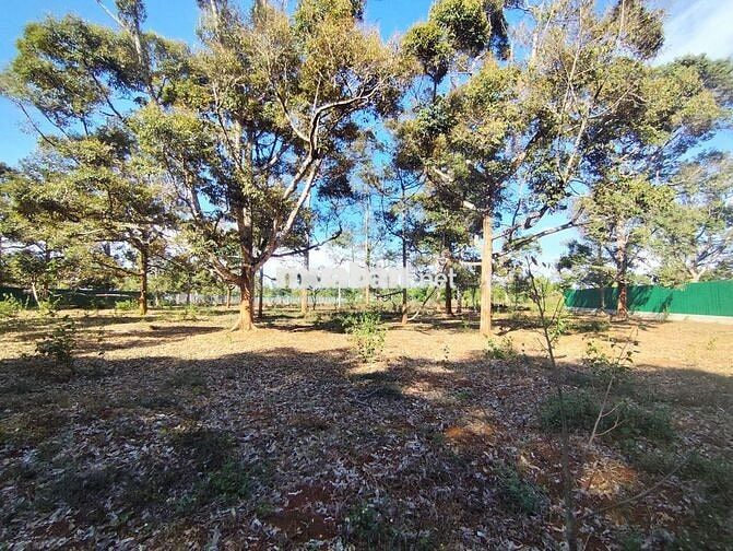 bán 10x50 đường Nguyễn Xuân Nguyên
