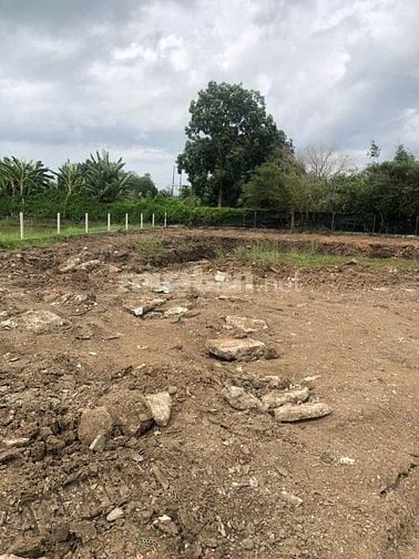 Bán đất trồng cây lâu năm, ngay chợ Bình Chánh, DT 2400m2, 23,5 tỷ