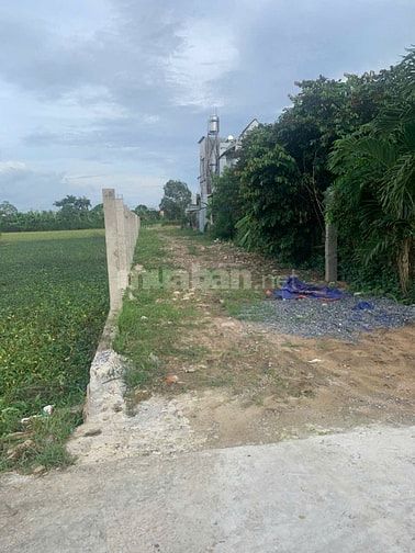 Bán đất trồng cây lâu năm, ngay chợ Bình Chánh, DT 2400m2, 23,5 tỷ