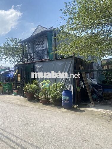 Mình chính chủ cần bán căn nhà