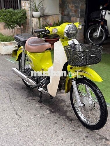 Honda Cub 50cc 2022 Vàng chanh