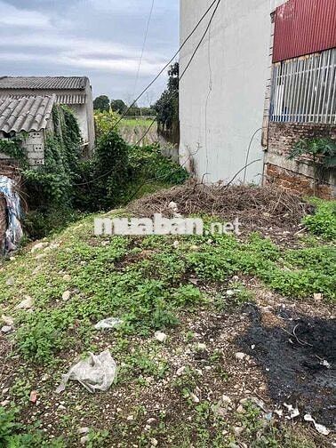 150m² FULL THỔ CƯ – Ô TÔ VÀO – CHỈ 26TR/M² – CHƯƠNG MỸ 🔥