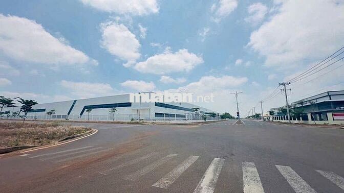 153m2 có 100m2 đất ở ngay trường học Tân Lợi Đồng Nai chỉ 190 triệu 