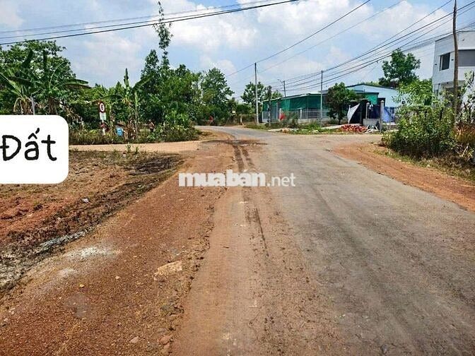 153m2 có 100m2 đất ở ngay trường học Tân Lợi Đồng Nai chỉ 190 triệu 