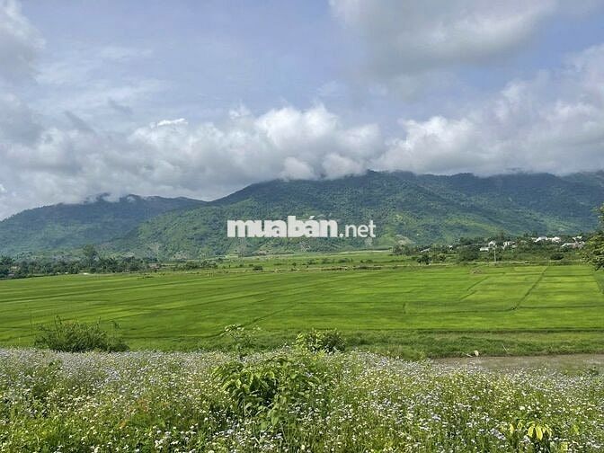 ĐẤT NHÀ VƯỜN 1000m² – VIEW ĐẸP, DÂN CƯ HIỆN HỮU, CHỈ 300TR, SỔ RIÊNG