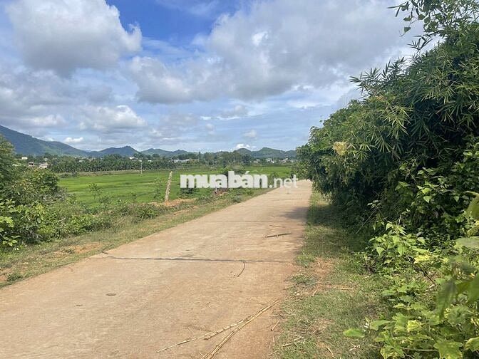 ĐẤT NHÀ VƯỜN 1000m² – VIEW ĐẸP, DÂN CƯ HIỆN HỮU, CHỈ 300TR, SỔ RIÊNG