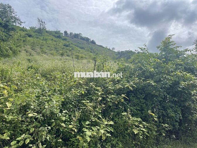 ĐẤT NHÀ VƯỜN 1000m² – VIEW ĐẸP, DÂN CƯ HIỆN HỮU, CHỈ 300TR, SỔ RIÊNG