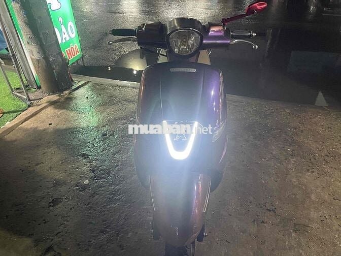 Peugeot Django 2022 Tím xám