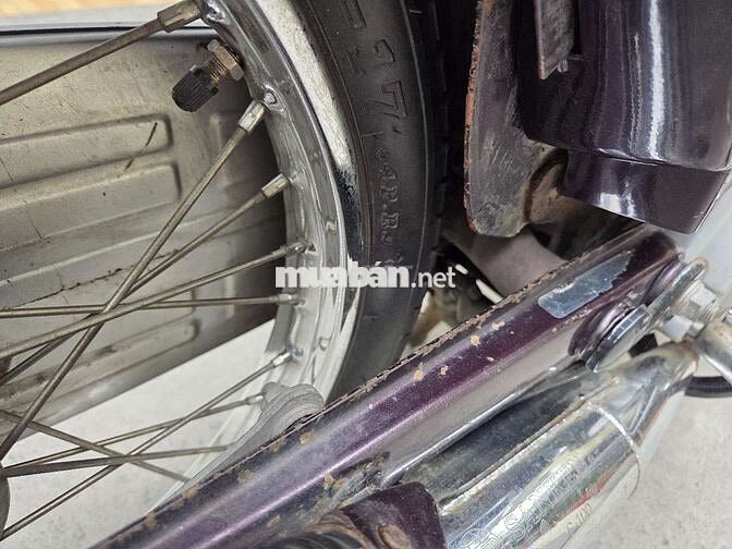 Honda Dream Nâu, Trắng